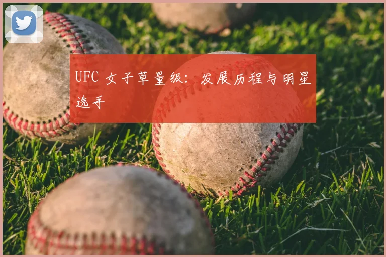 UFC 女子草量级：发展历程与明星选手