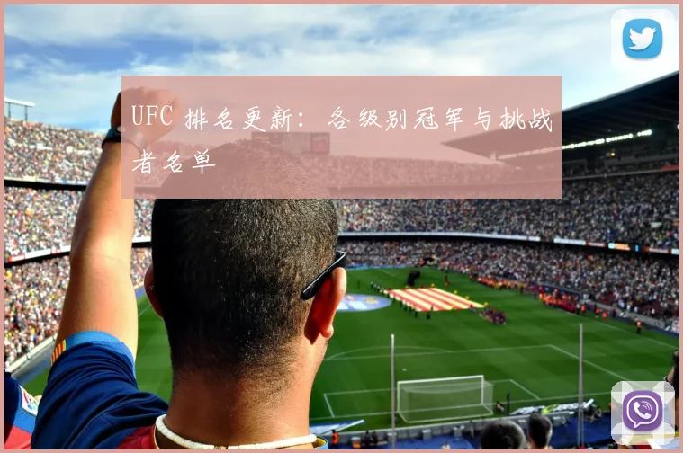 UFC 排名更新：各级别冠军与挑战者名单
