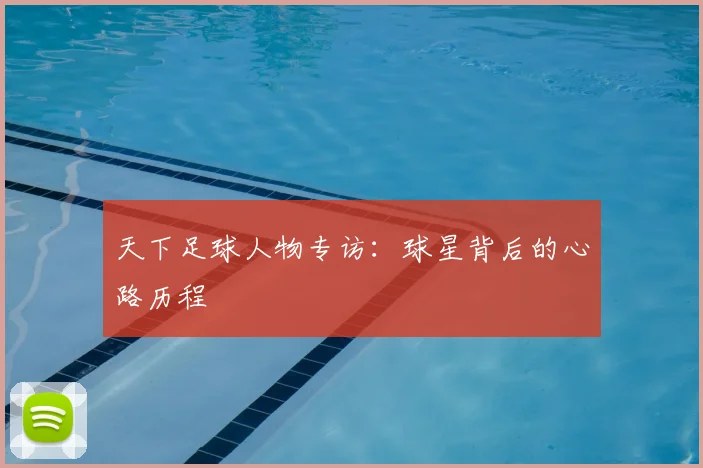 天下足球人物专访：球星背后的心路历程