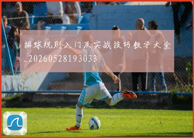 排球规则入门及实战技巧教学大全_20260528193033