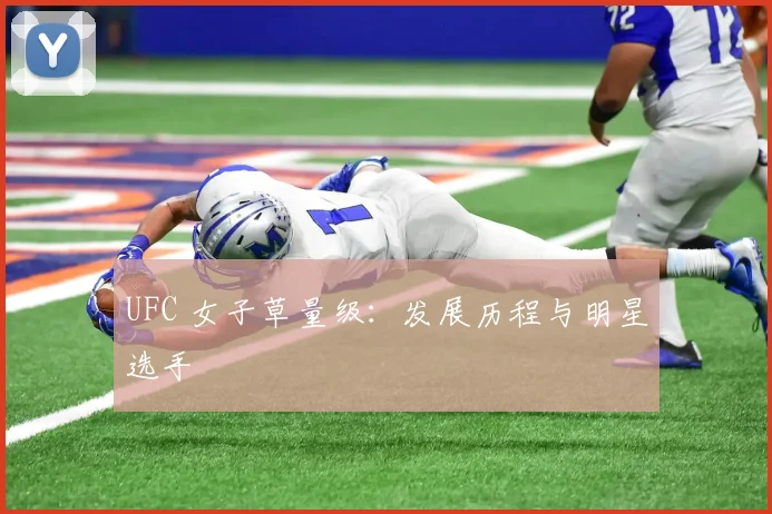 UFC 女子草量级：发展历程与明星选手